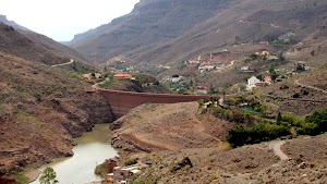 Ayagaures