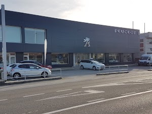 DANA MOTOR COLINDRES