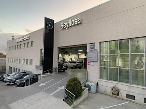 Seyllosa S.L Seyllosa S.L